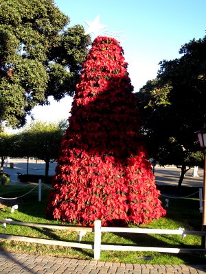 Seaport Village - San Diego Harbor