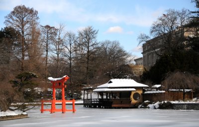 Shinto Shrine & Tea House in the Japanese Garden 