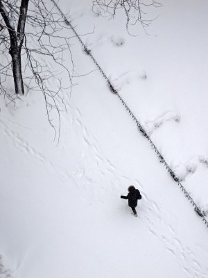 New Tracks in Fresh Snow