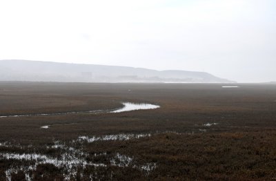 Tijuana Estuary National Reserve