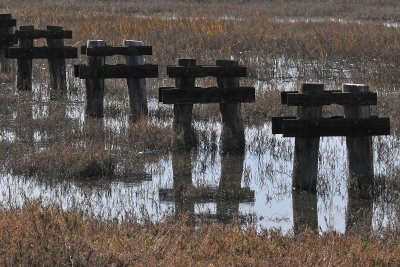 Tijuana Estuary National Reserve