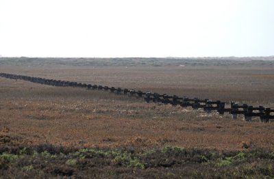 Tijuana Estuary National Reserve