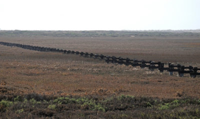 Tijuana Estuary National Reserve