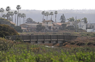 Tijuana Estuary National Reserve