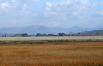Tijuana Estuary National Reserve