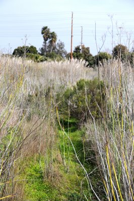 Near the Entrance to Chula Vista's Nature Center