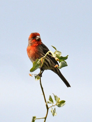 Chula Vista Nature Center in San Diego