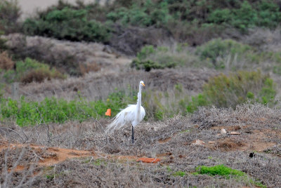 Chula Vista Nature Center in San Diego