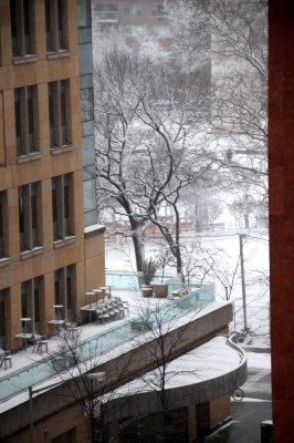 Winter Snow at NYU