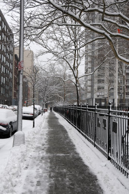 Winter Snow