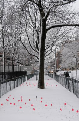 Tulip Markers in the Snow