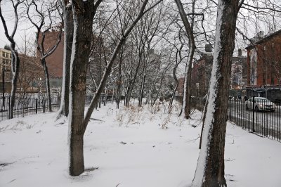Winter Snow - LaGuardia Place Time Landscape Garden