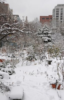 Winter 2010-2012 LaGuardia Corner Gardens