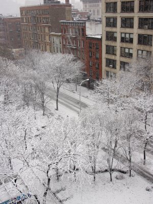 Winter Snow
