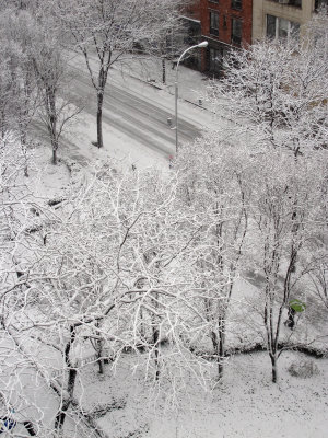 Winter Snow