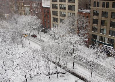Winter Snow