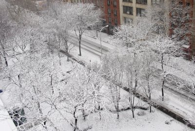 Winter Snow