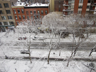 Winter Snow