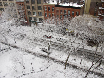 Winter Snow