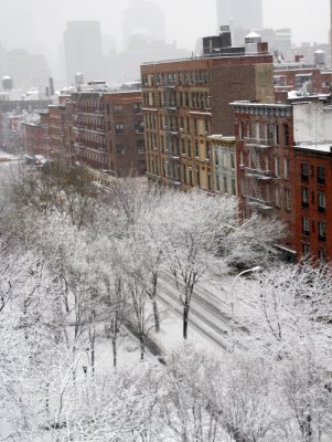 Winter Snow