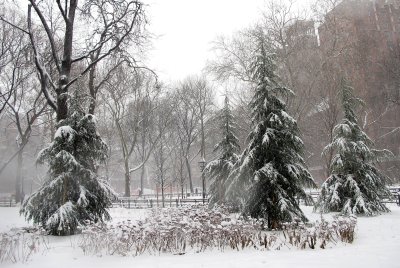 2007 to 2015 Winter in Washington Square Park 