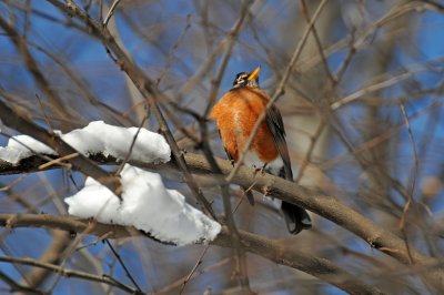 Winter