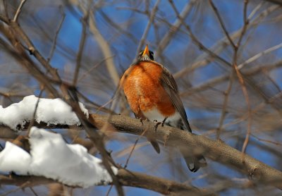 Winter