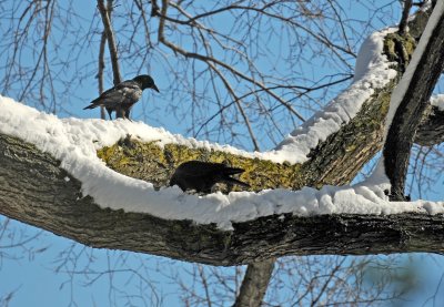 Winter