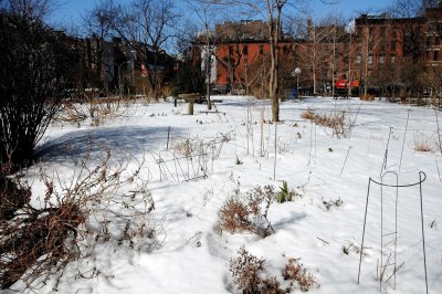 Garden Snow Scene