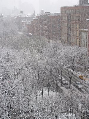 Winter Snow
