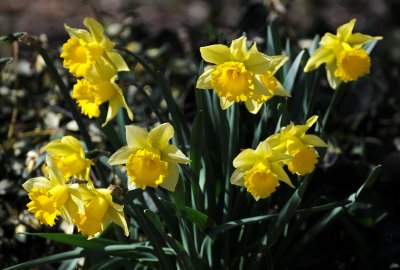 g3/26/411626/3/122786704.h2kyE8c4.jpg