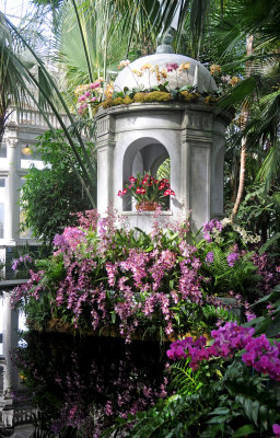 Orchid Show 2010