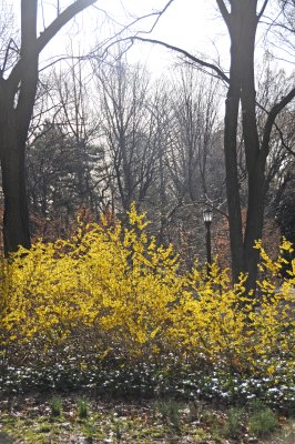 g3/26/411626/3/123094942.msZpuDb7.jpg