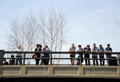 Highline