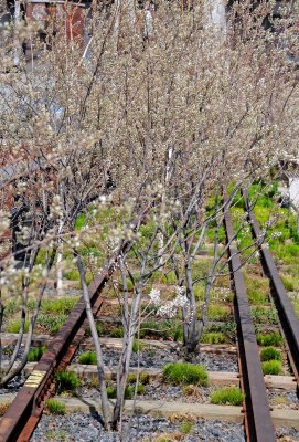 Highline