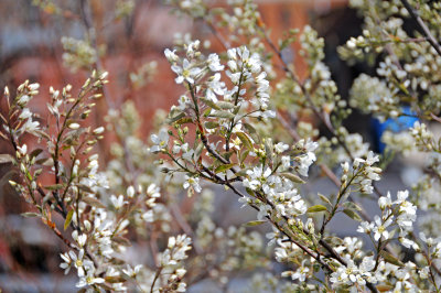 Highline