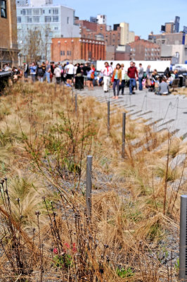 Highline