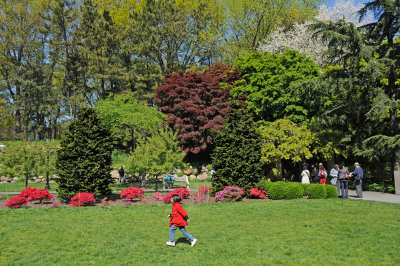 Italian Garden View