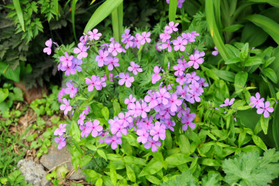 g3/26/411626/3/124174289.GMKeQgY6.jpg