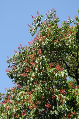 g3/26/411626/3/124393389.7N6eoiCW.jpg