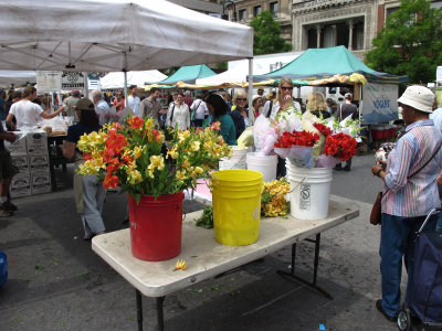 Flowers at the Green Market