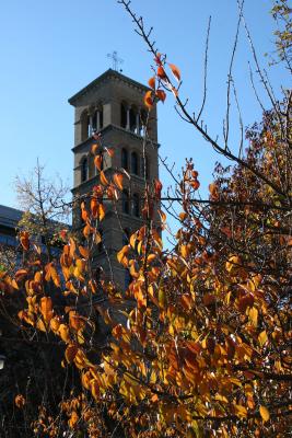 Judson Church Bell Tower & Cherry Foliage
