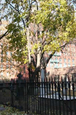 Old Saint Patrick's Church Graveyard