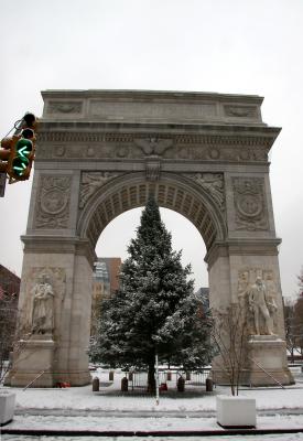 Arch & Christmas Tree