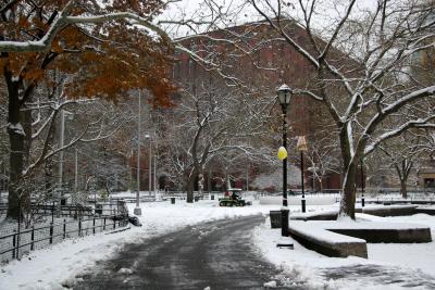 Path to the NYU Library , Student Center & LaGuardia Place