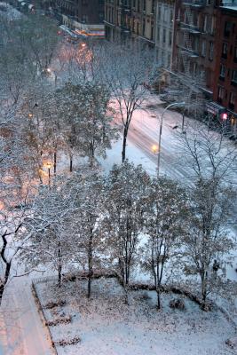 Snow Scenes - LaGuardia Place