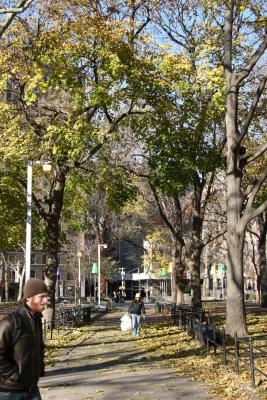 Path to Northwest Corner of the Park