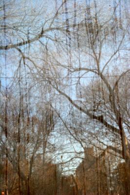 Western Horizon of Washington Square Park  Reflected on NYU's Grey Gallery Window