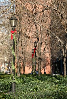 Garden & NYU Library