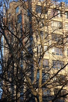 Residence
